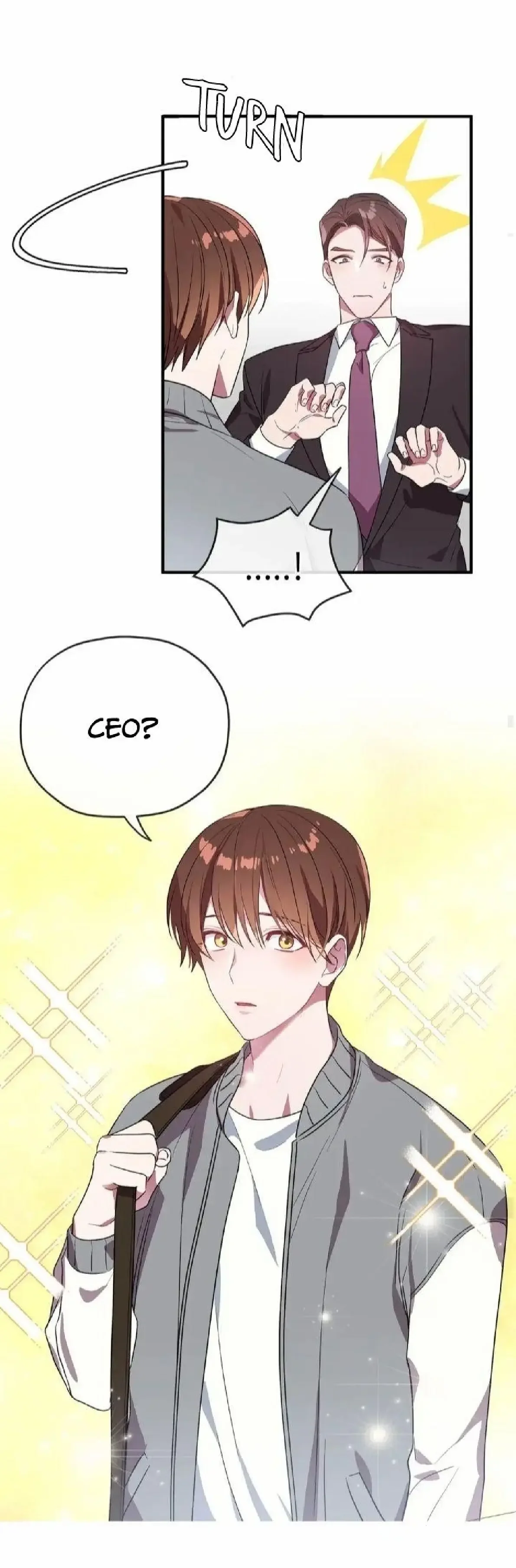 Persiguiendo Al Ceo / Chasing A Mr Ceo - FxS capítulo 24, página 11