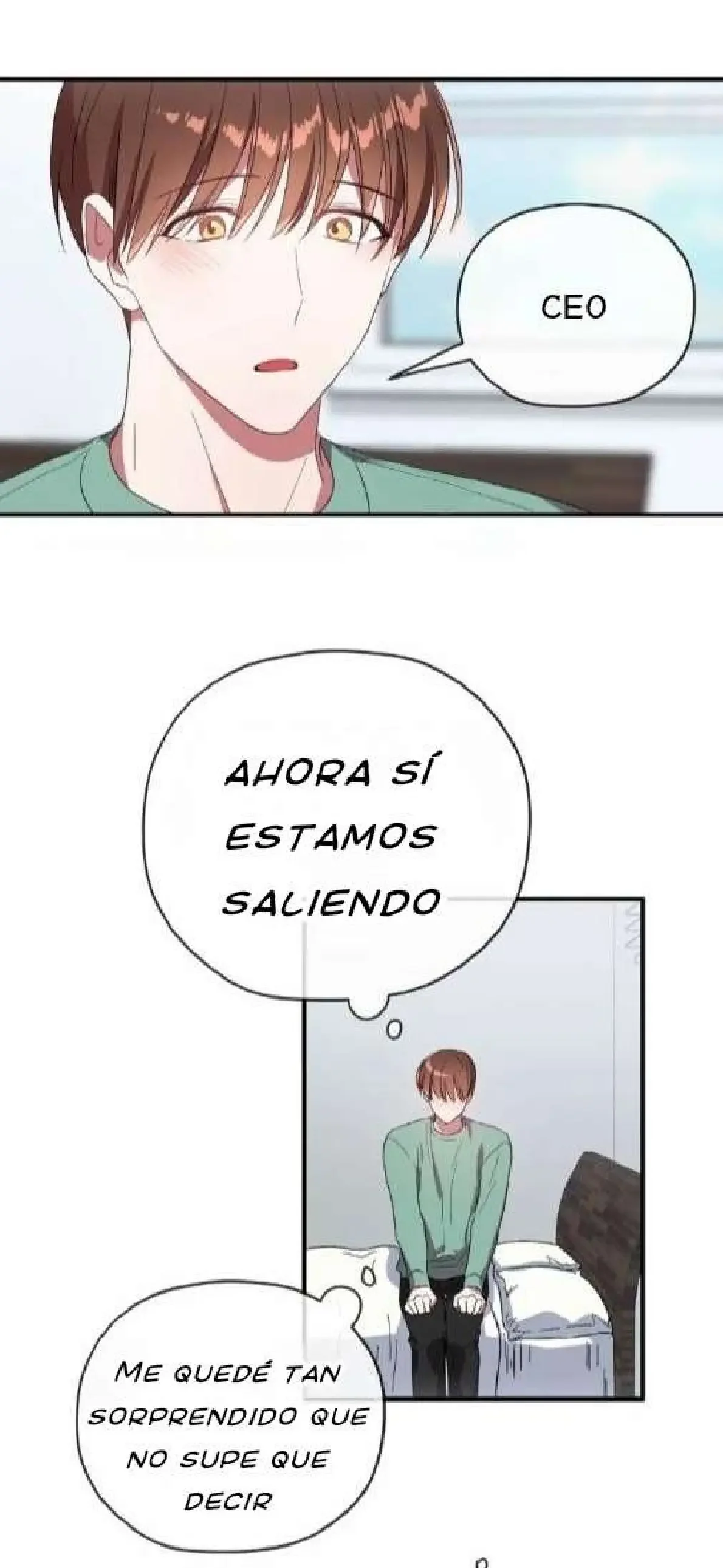 Persiguiendo Al Ceo / Chasing A Mr Ceo - FxS capítulo 33, página 29