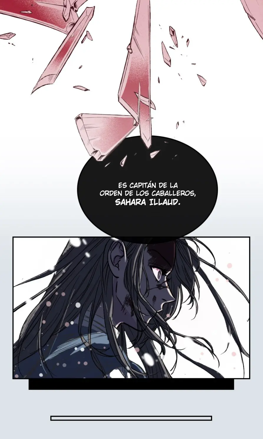 A LOS CUERVOS LES GUSTA LAS COSAS BRILLANTES capítulo 0, página 7