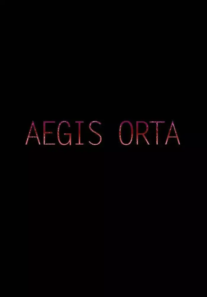 Aegis Orta capítulo 28, página 3