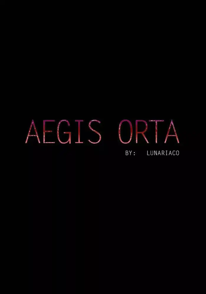 Aegis Orta capítulo 29, página 13
