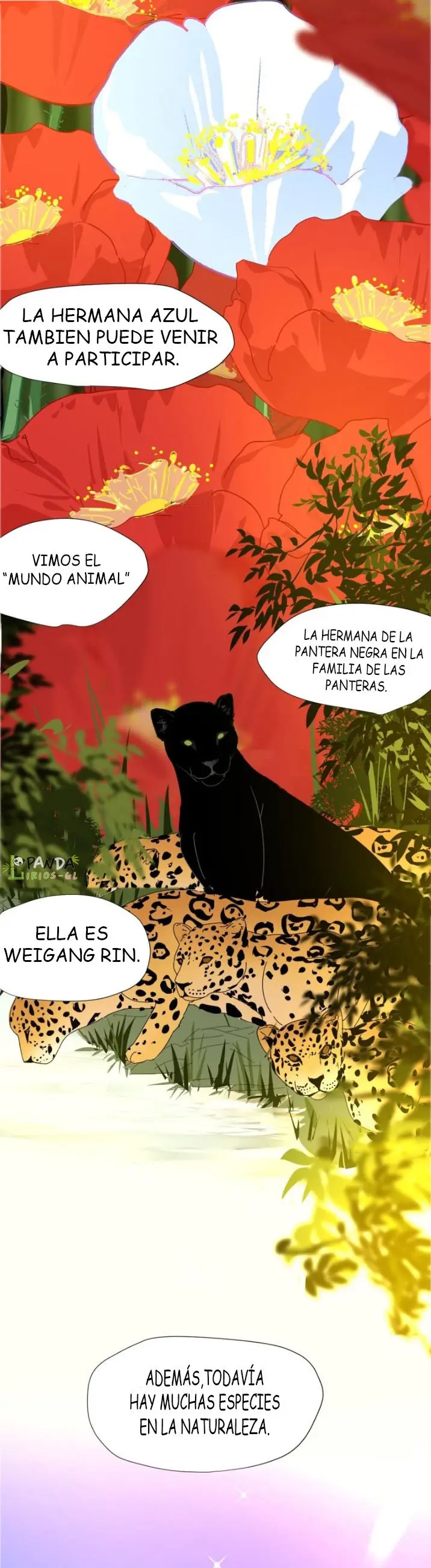 Albatros de espalda negra capítulo 1, página 12