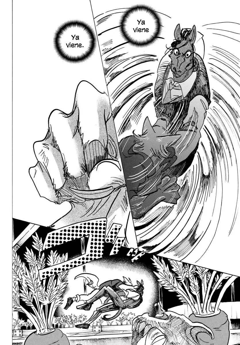 Beastars capítulo 118, página 13