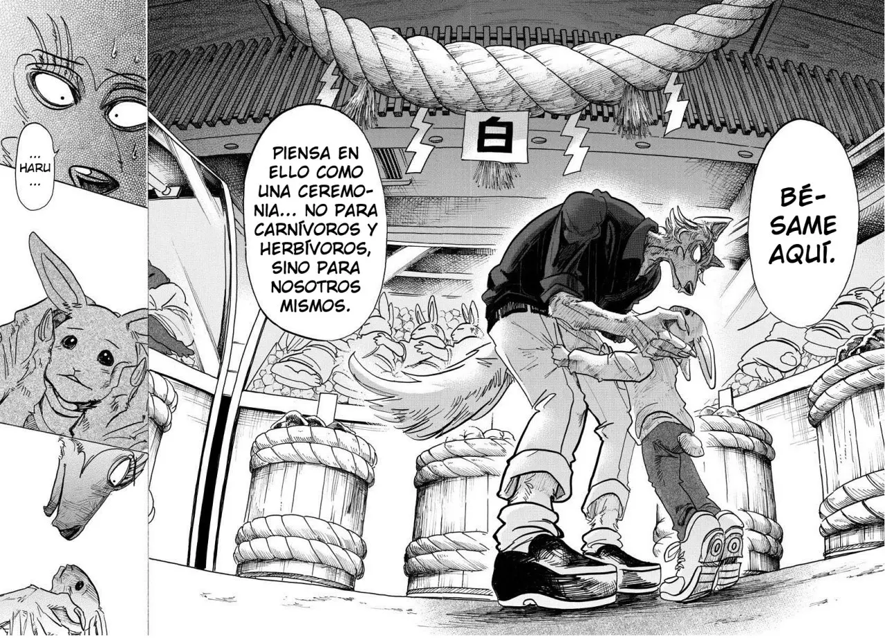 Beastars capítulo 122, página 17