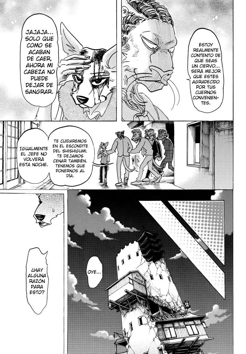 Beastars capítulo 131, página 11