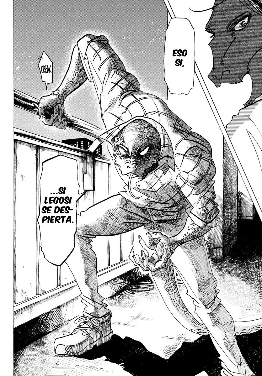 Beastars capítulo 134, página 21