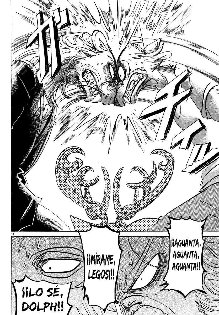 Beastars capítulo 147, página 17