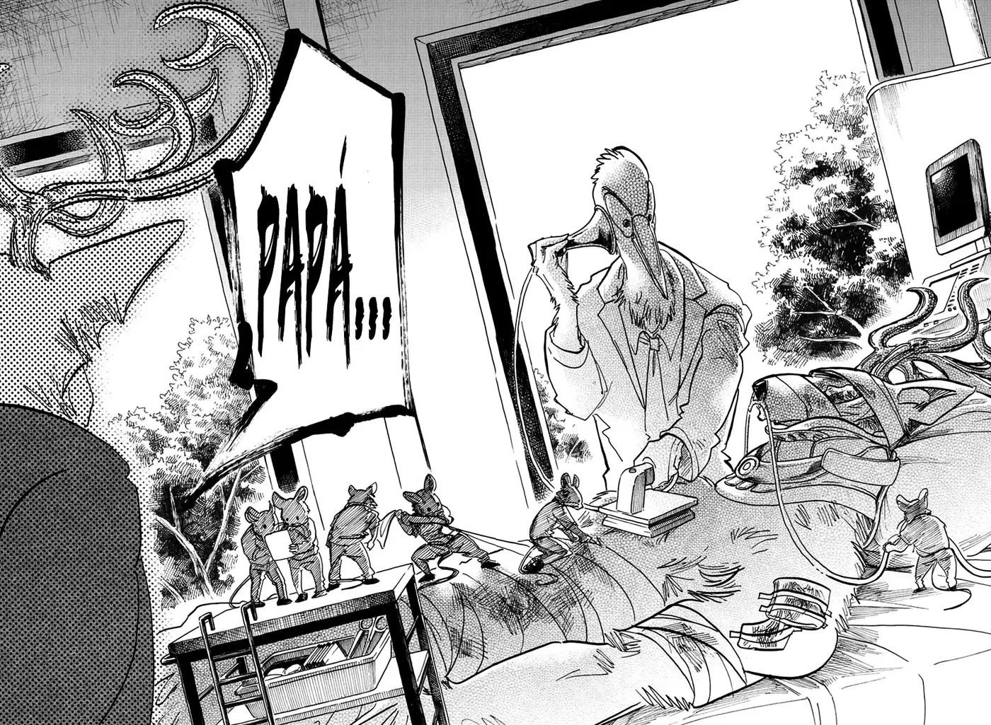 Beastars capítulo 165, página 12