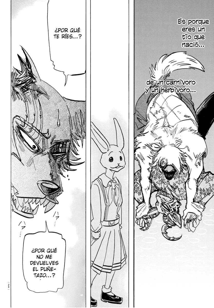 Beastars capítulo 184, página 13