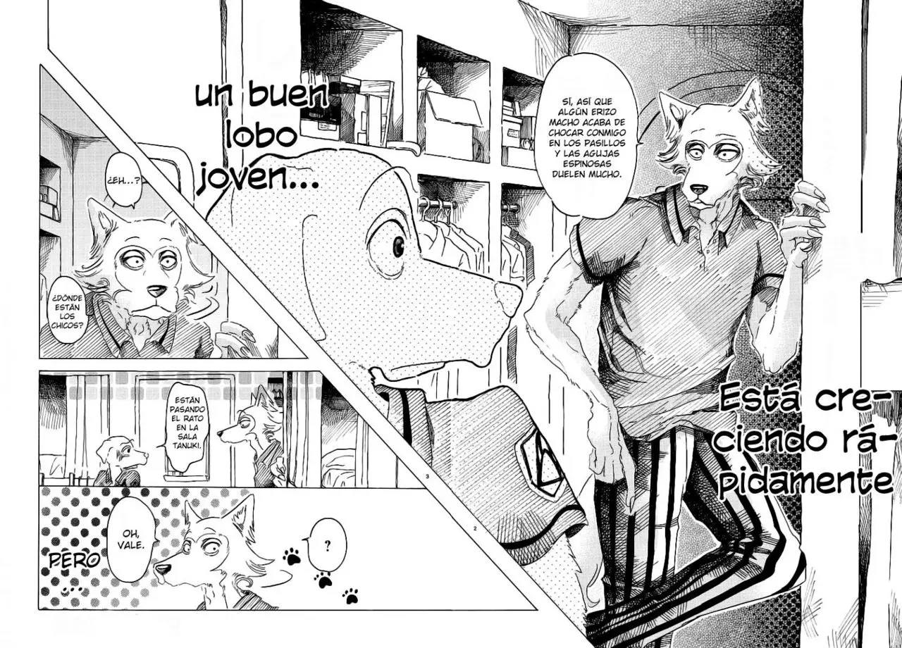Beastars capítulo 28, página 4
