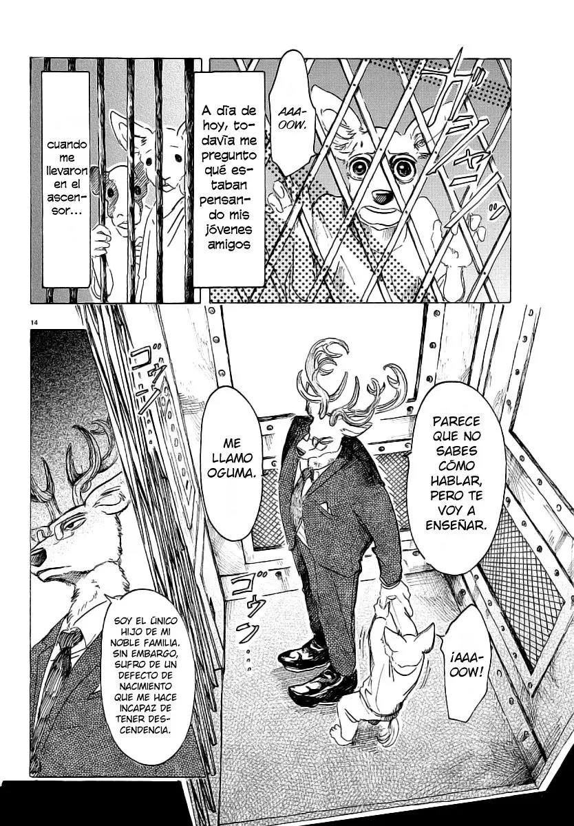 Beastars capítulo 33, página 16