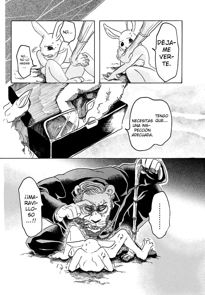 Beastars capítulo 35, página 13