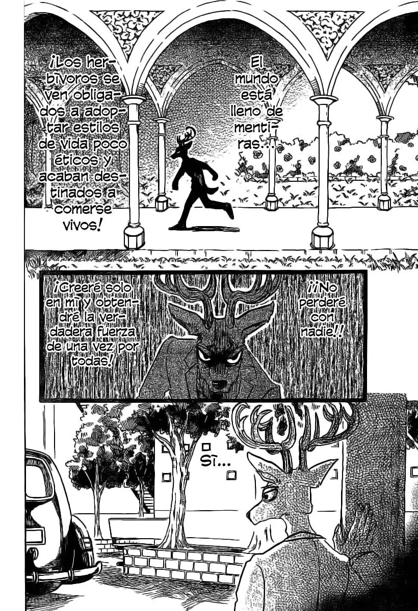 Beastars capítulo 50, página 17