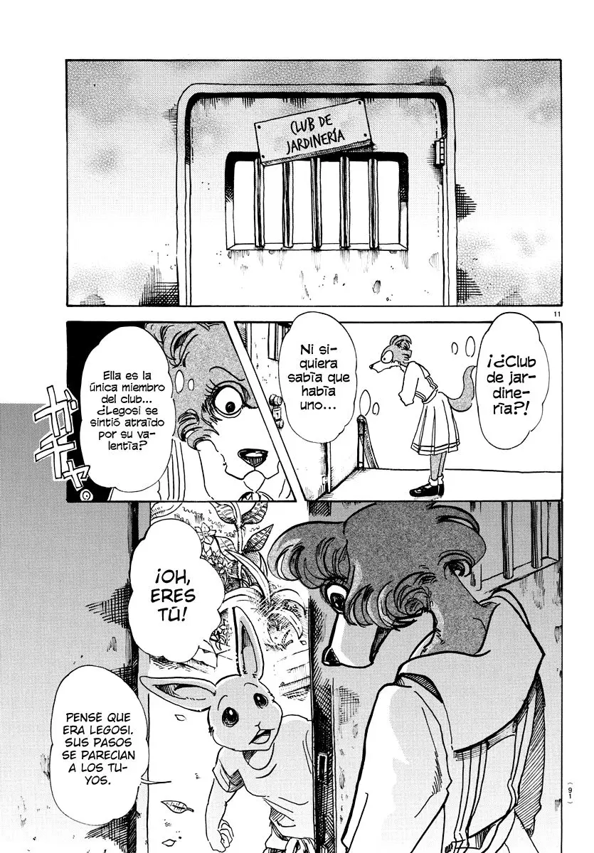 Beastars capítulo 79, página 12