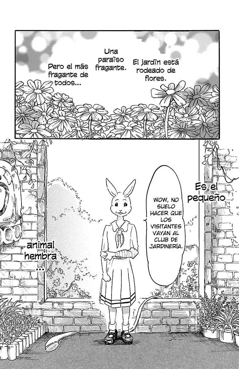 Beastars capítulo 8, página 5