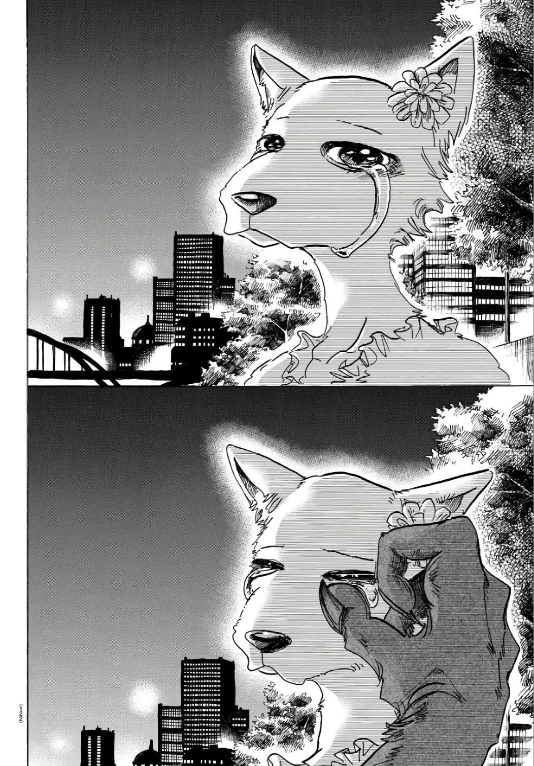 Beastars capítulo 86, página 18