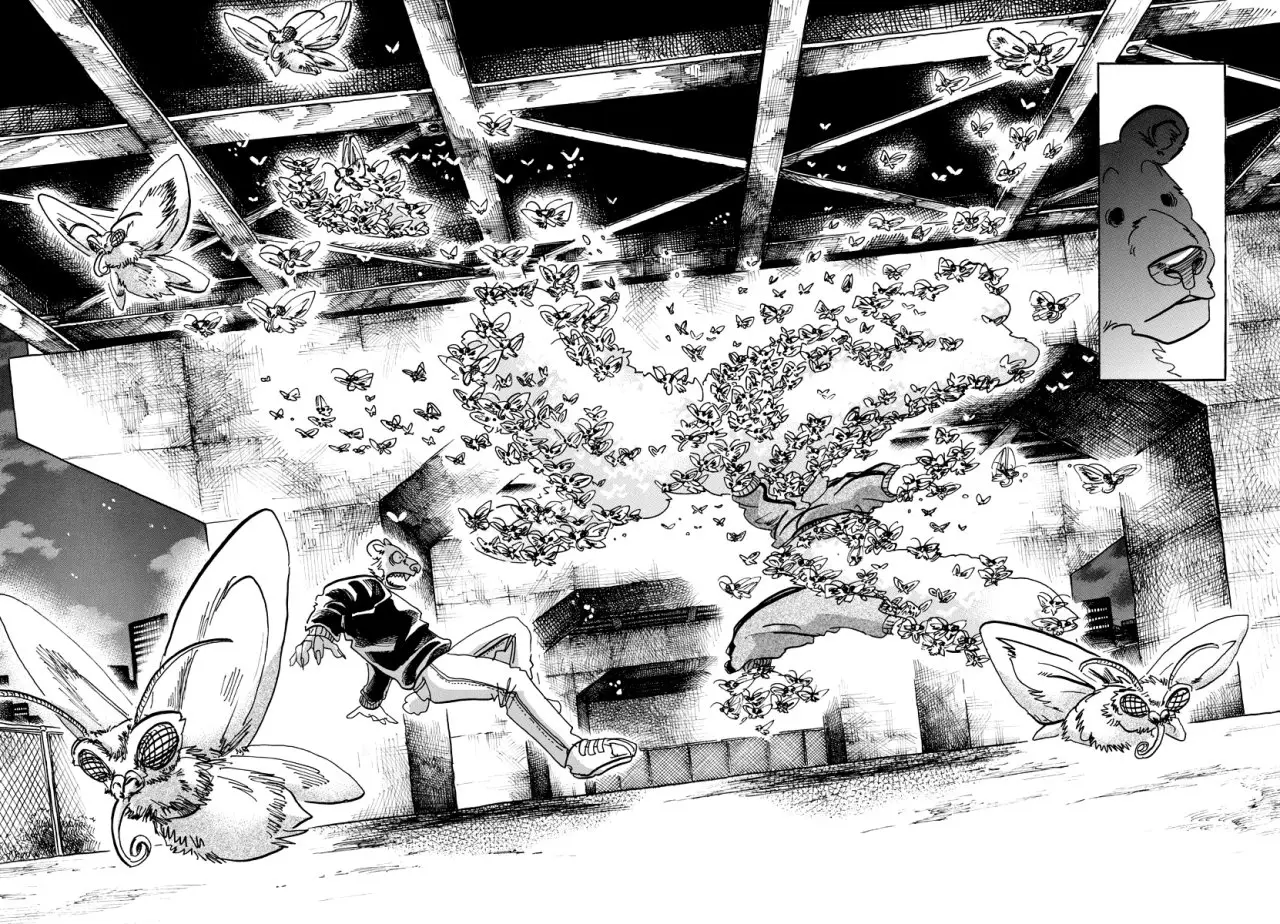Beastars capítulo 93, página 13