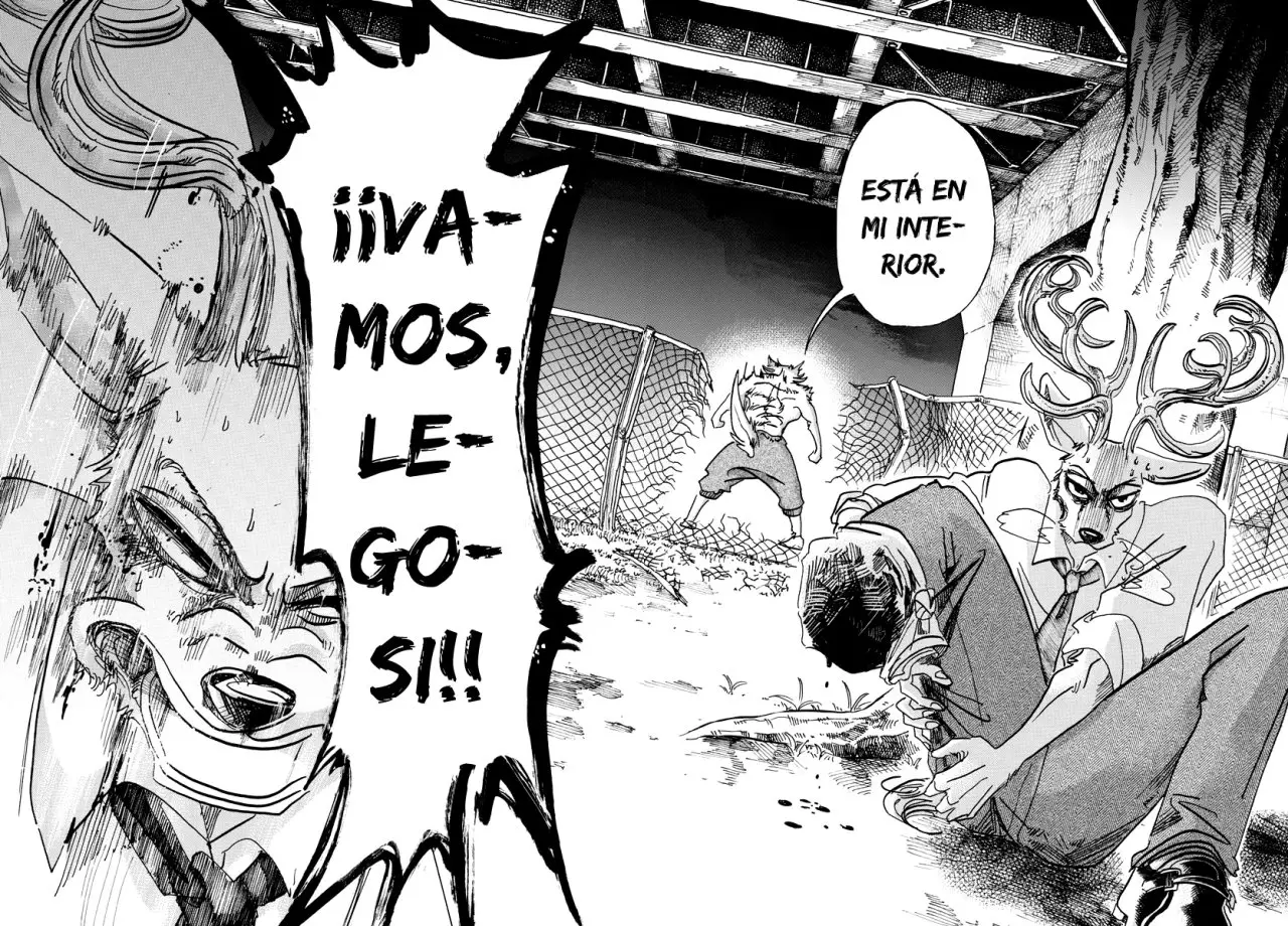 Beastars capítulo 96, página 9