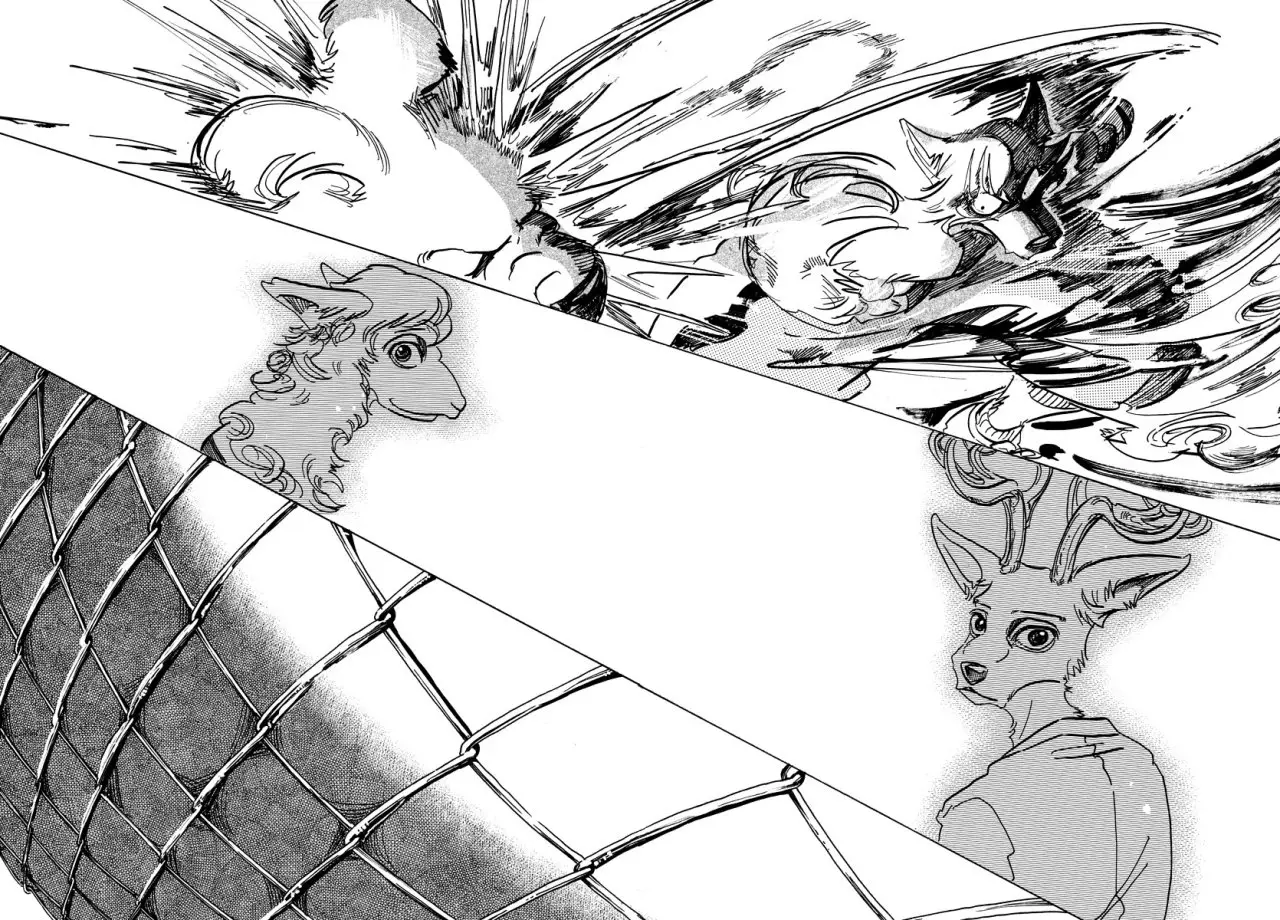 Beastars capítulo 96, página 12