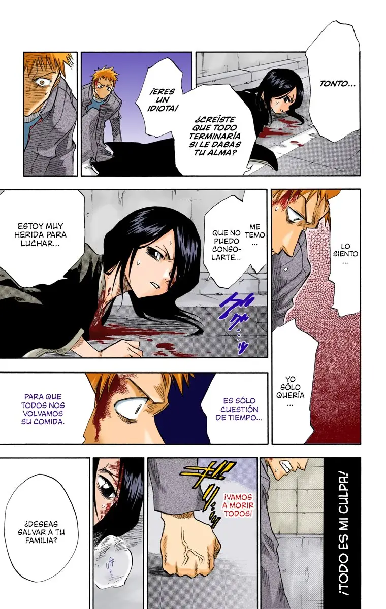 Bleach (Color) capítulo 1, página 43