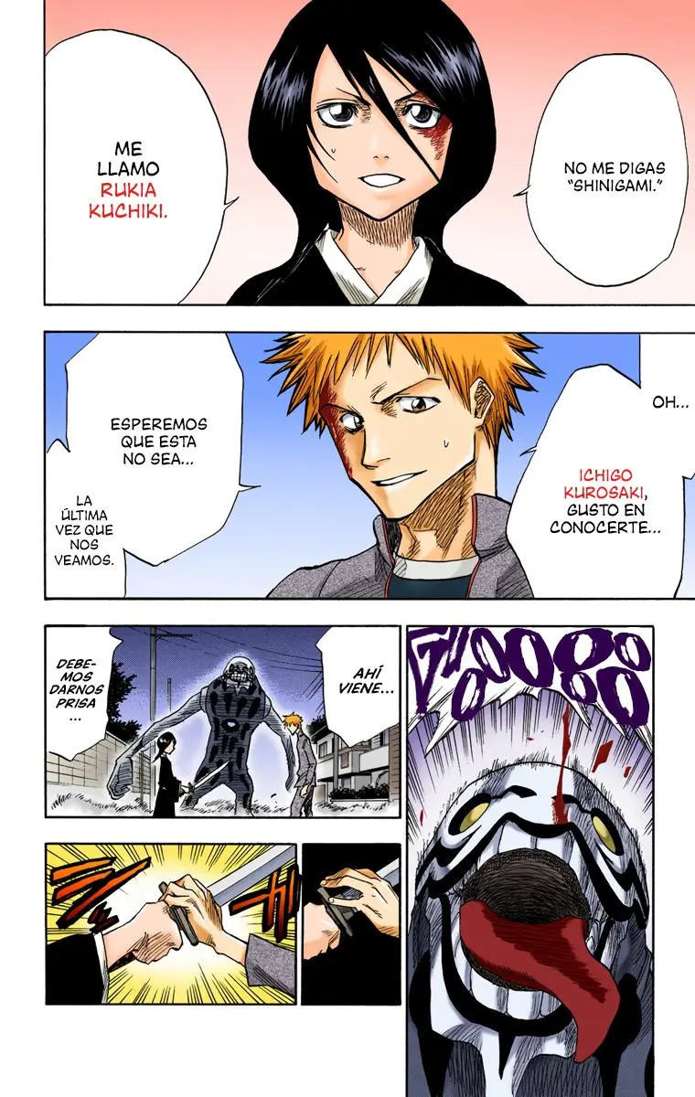 Bleach (Color) capítulo 1, página 48