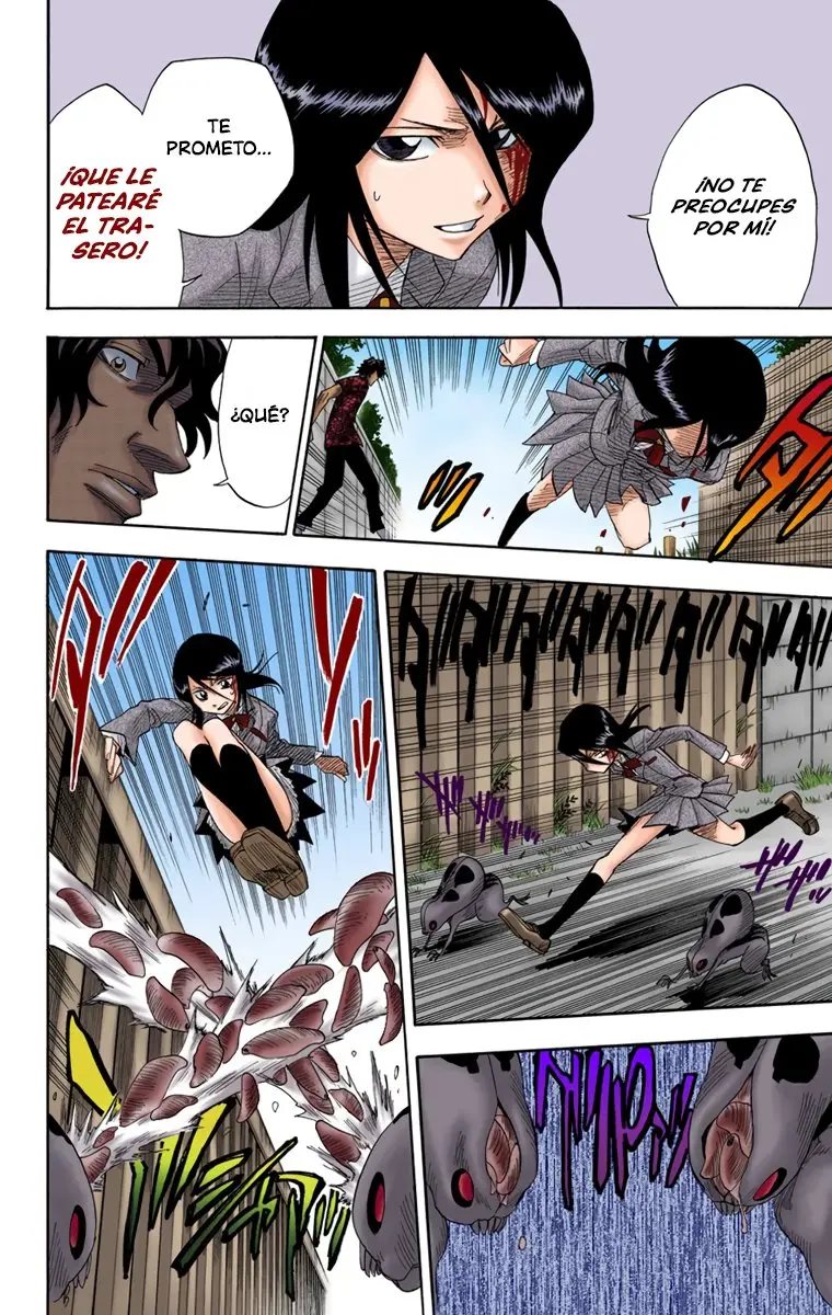 Bleach (Color) capítulo 10, página 14