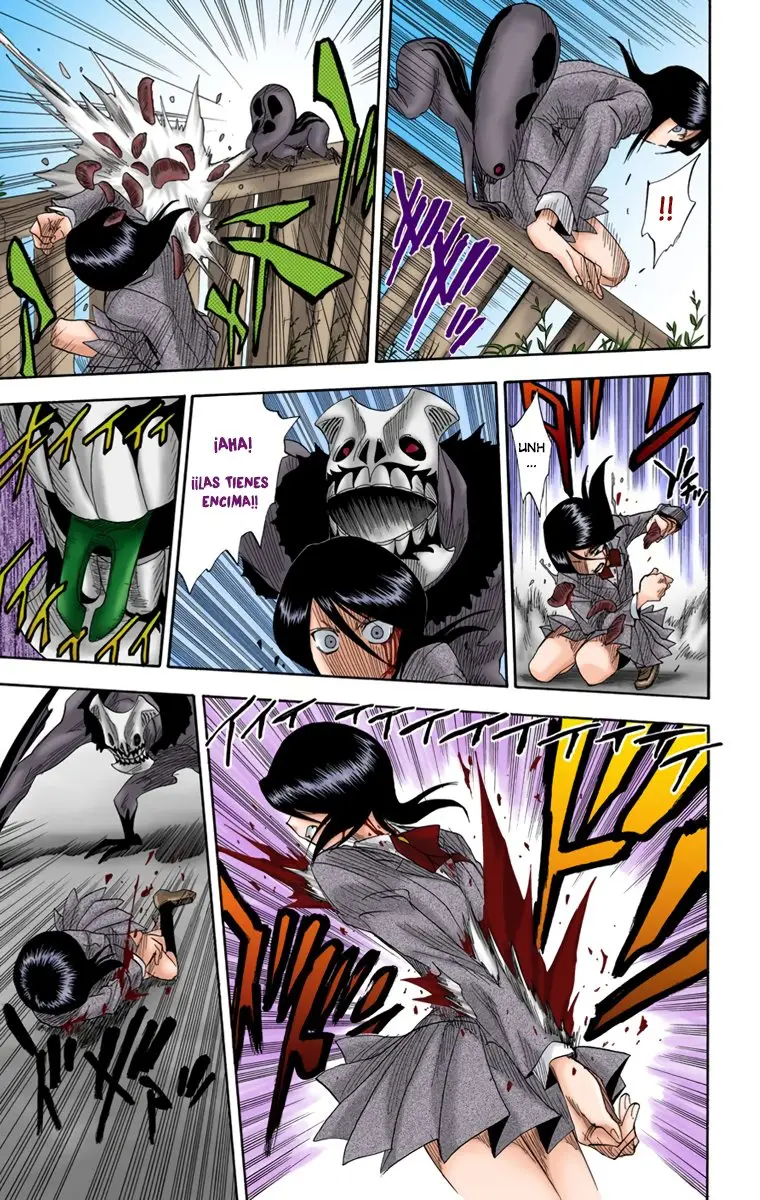 Bleach (Color) capítulo 10, página 15