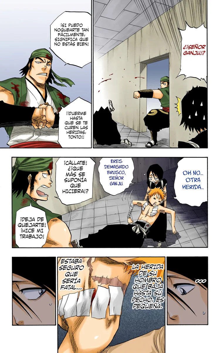 Bleach (Color) capítulo 100, página 4