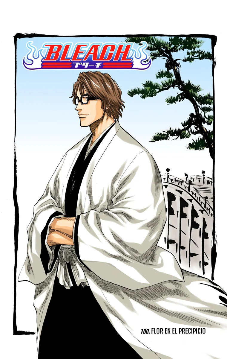 Bleach (Color) capítulo 100, página 6