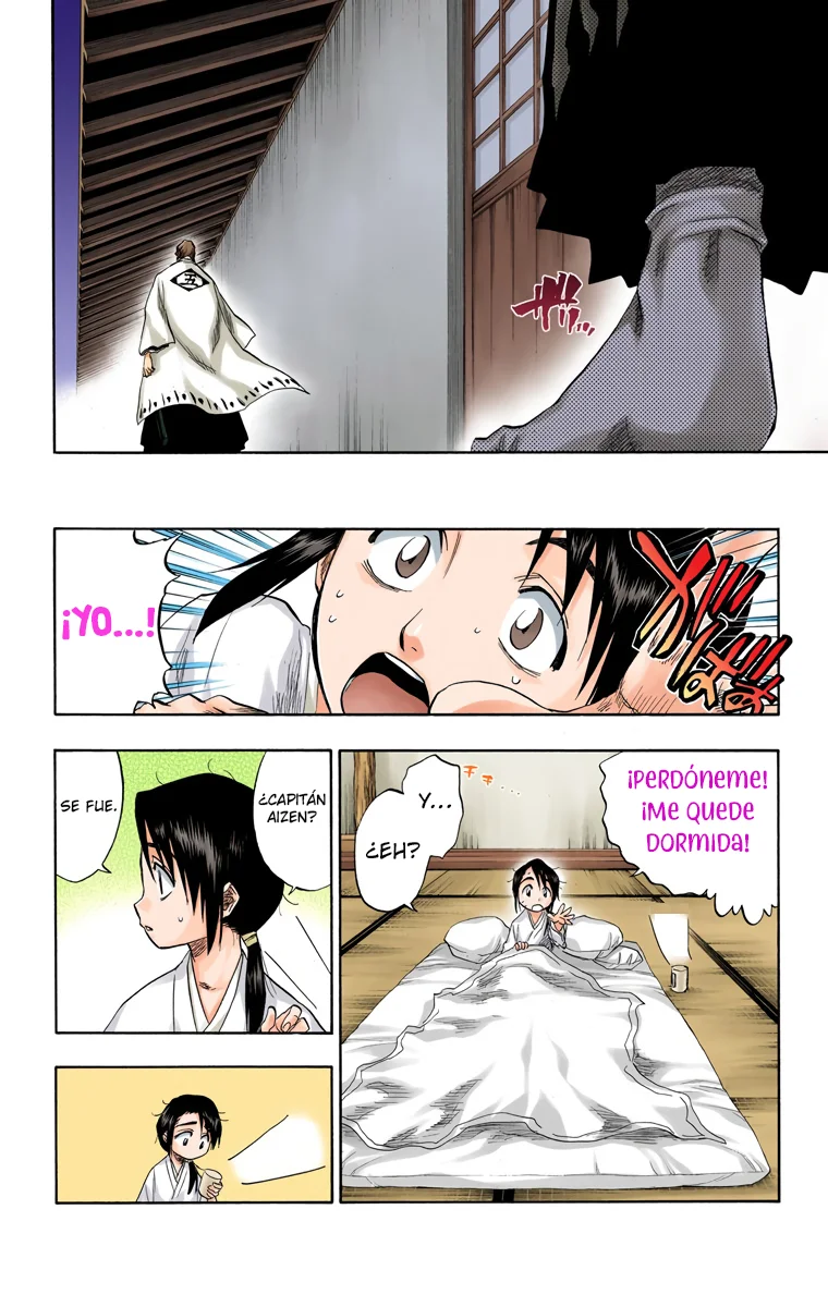 Bleach (Color) capítulo 100, página 15
