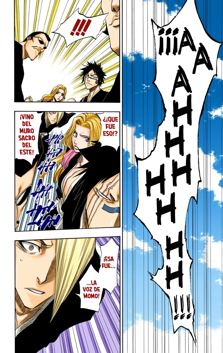 Bleach (Color) capítulo 100, página 17