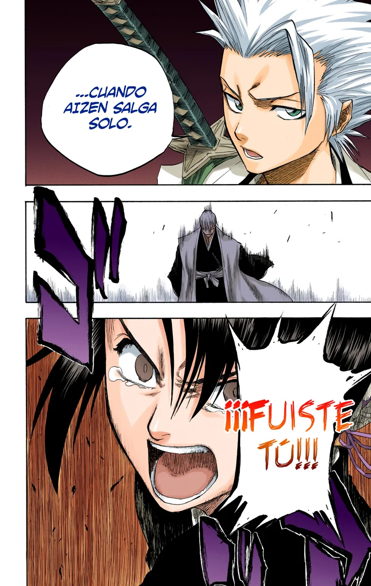 Bleach (Color) capítulo 101, página 8