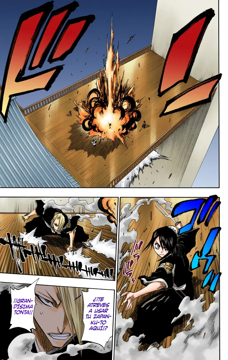 Bleach (Color) capítulo 101, página 13