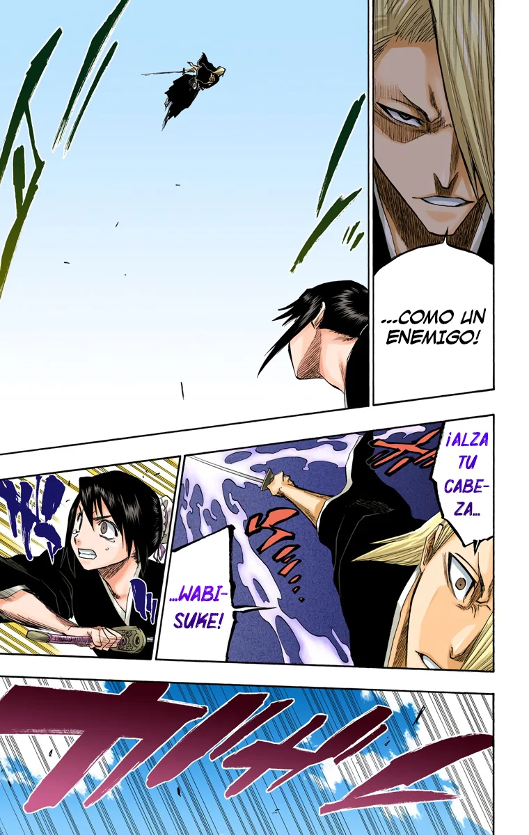 Bleach (Color) capítulo 101, página 15