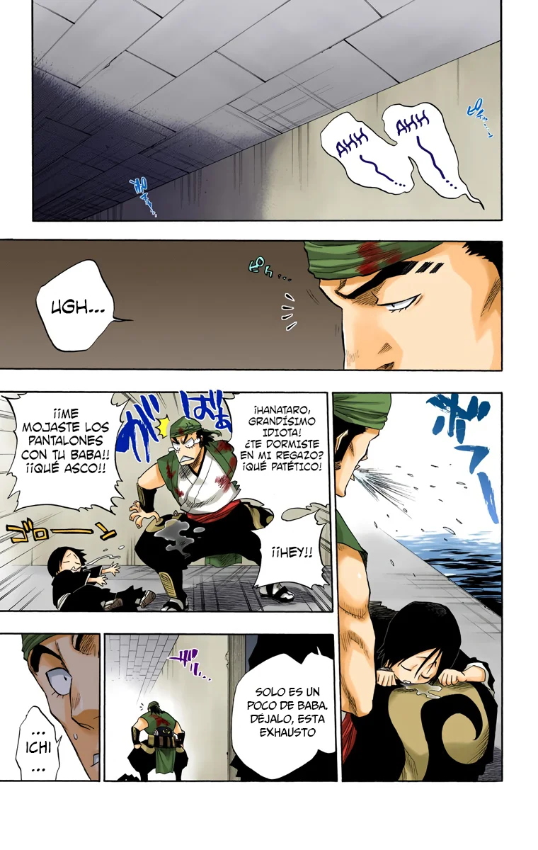 Bleach (Color) capítulo 101, página 19