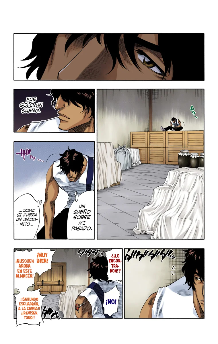 Bleach (Color) capítulo 102, página 5
