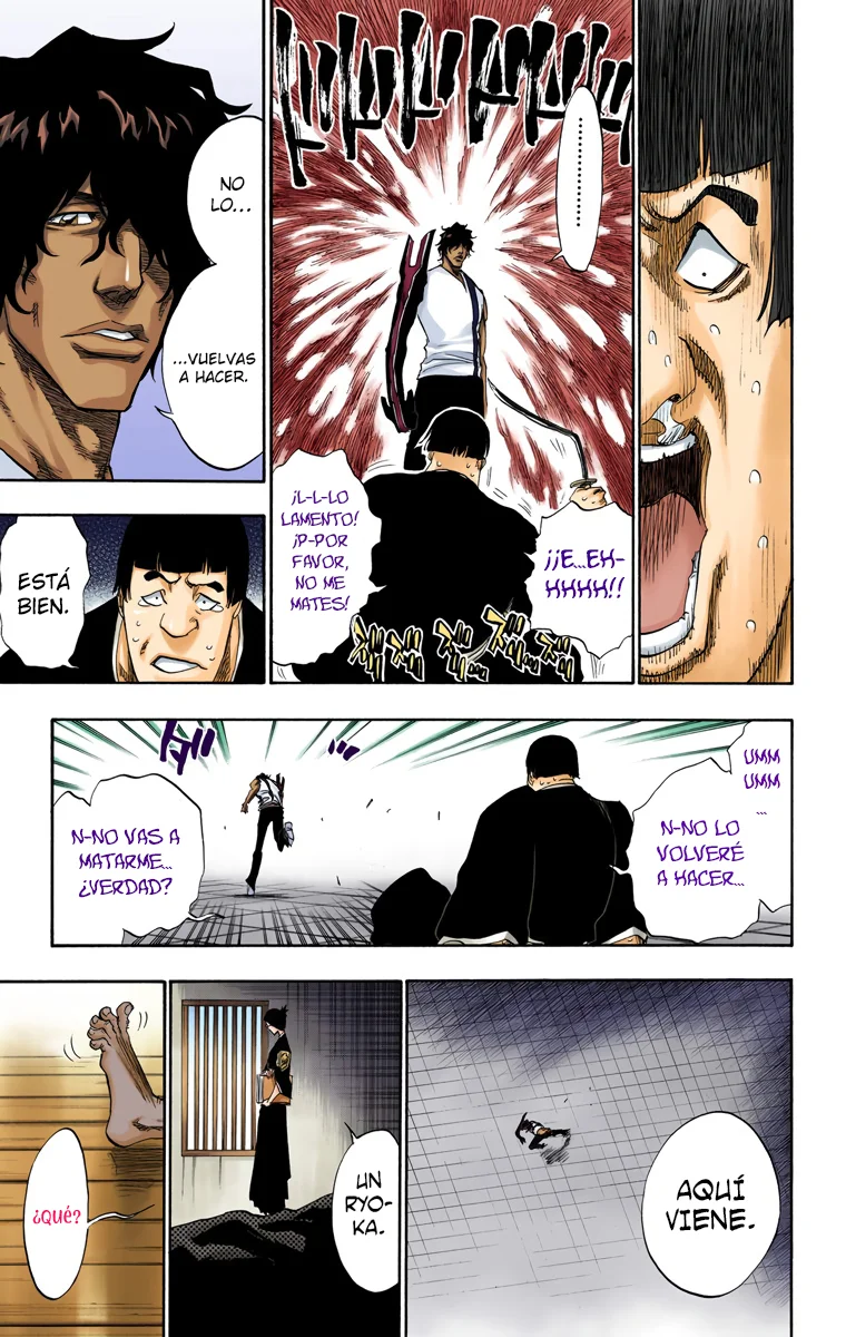 Bleach (Color) capítulo 102, página 14