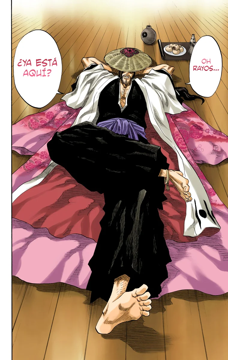 Bleach (Color) capítulo 102, página 15