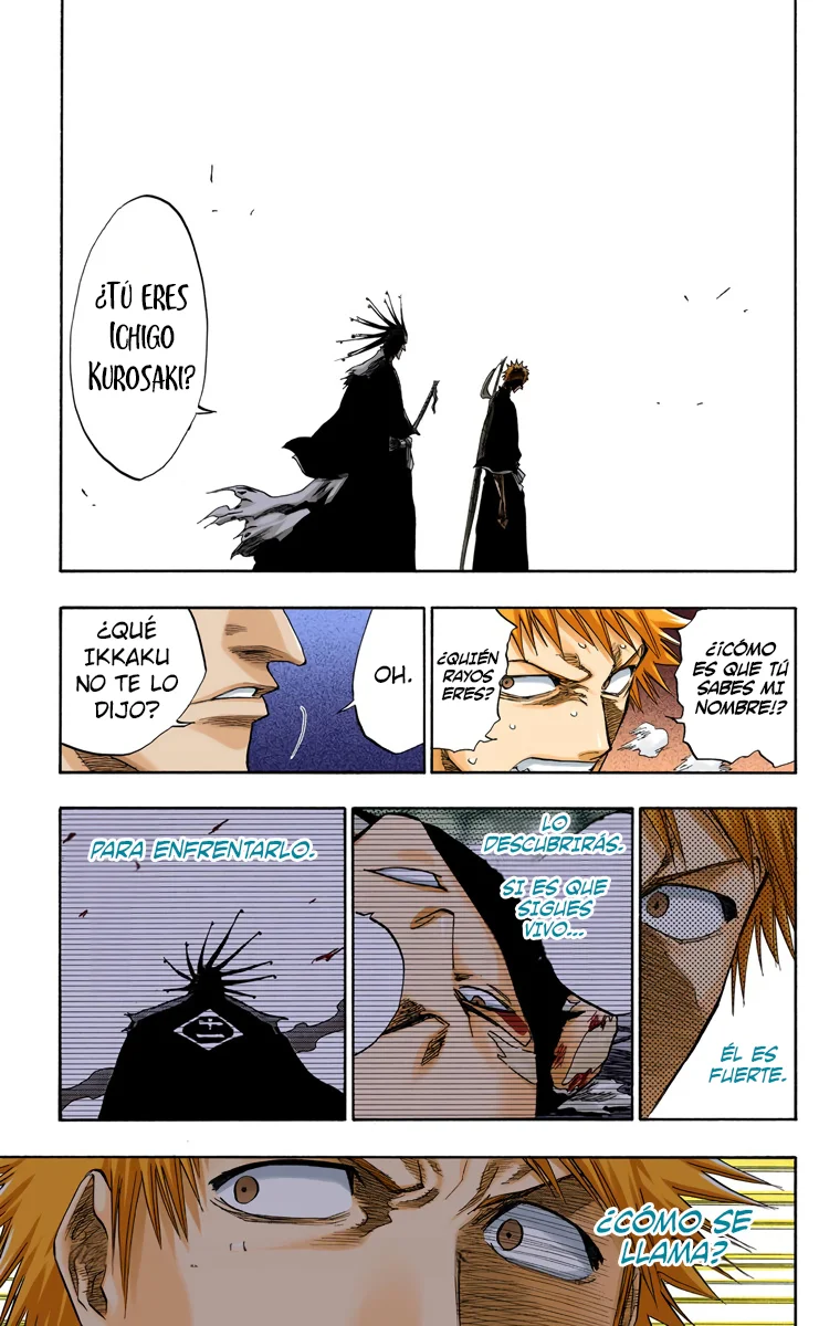 Bleach (Color) capítulo 103, página 17