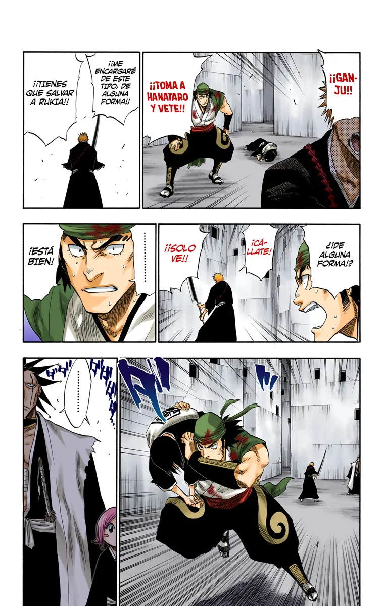 Bleach (Color) capítulo 104, página 8