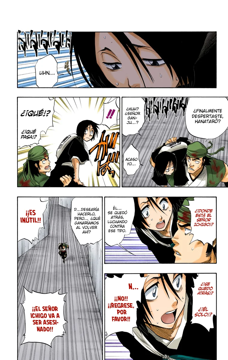 Bleach (Color) capítulo 104, página 17
