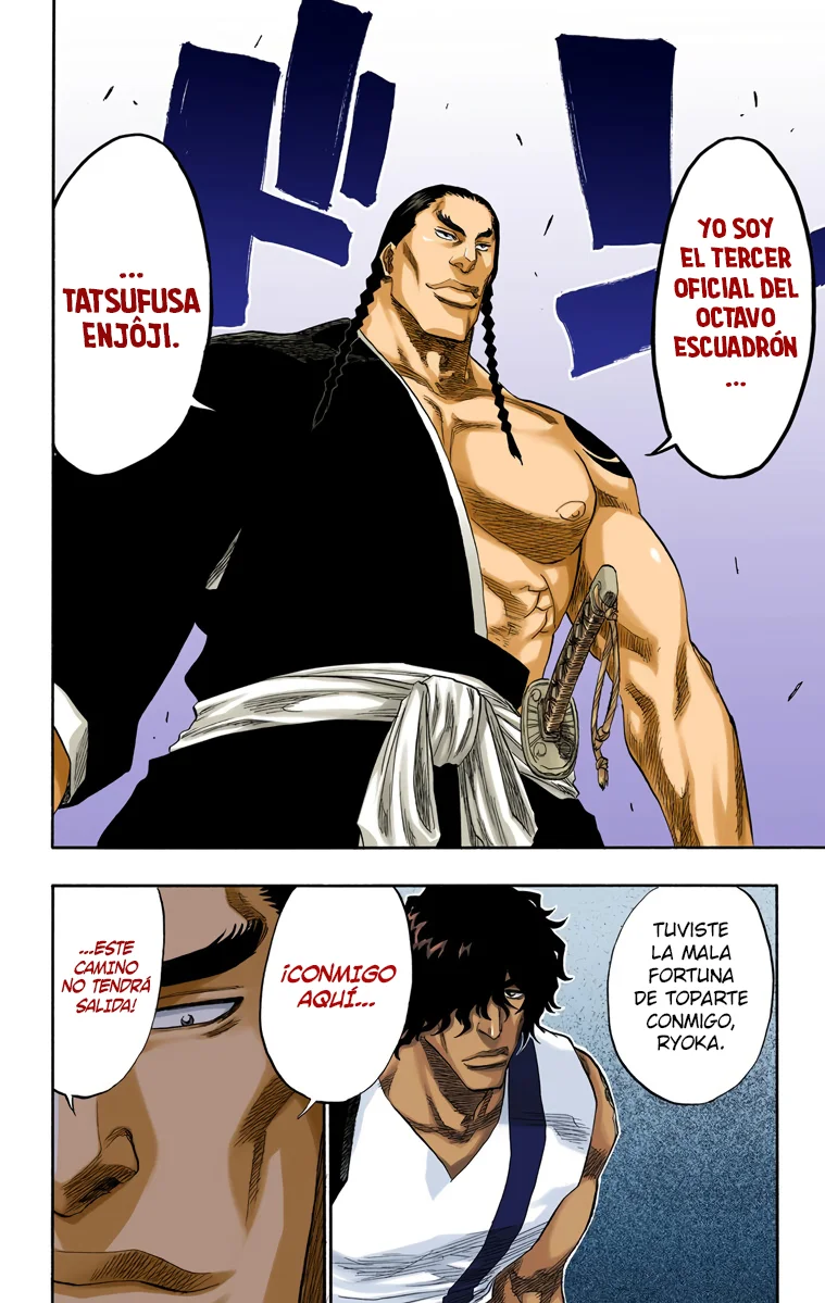 Bleach (Color) capítulo 105, página 13