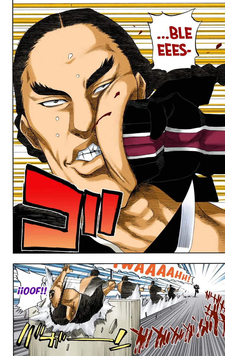 Bleach (Color) capítulo 105, página 15