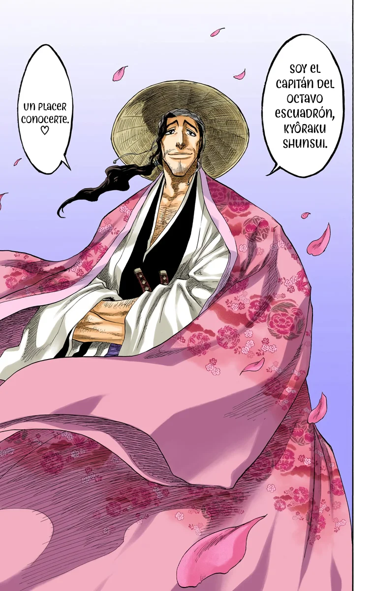 Bleach (Color) capítulo 105, página 18