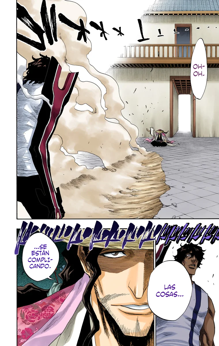 Bleach (Color) capítulo 106, página 9
