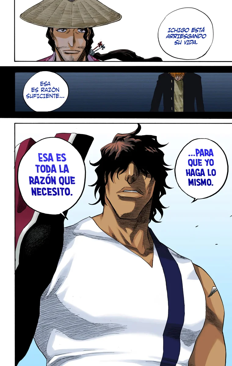 Bleach (Color) capítulo 106, página 17