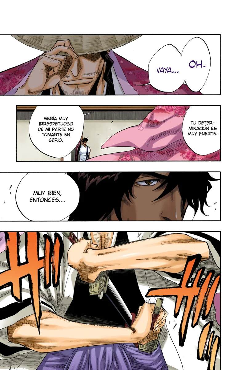 Bleach (Color) capítulo 106, página 18