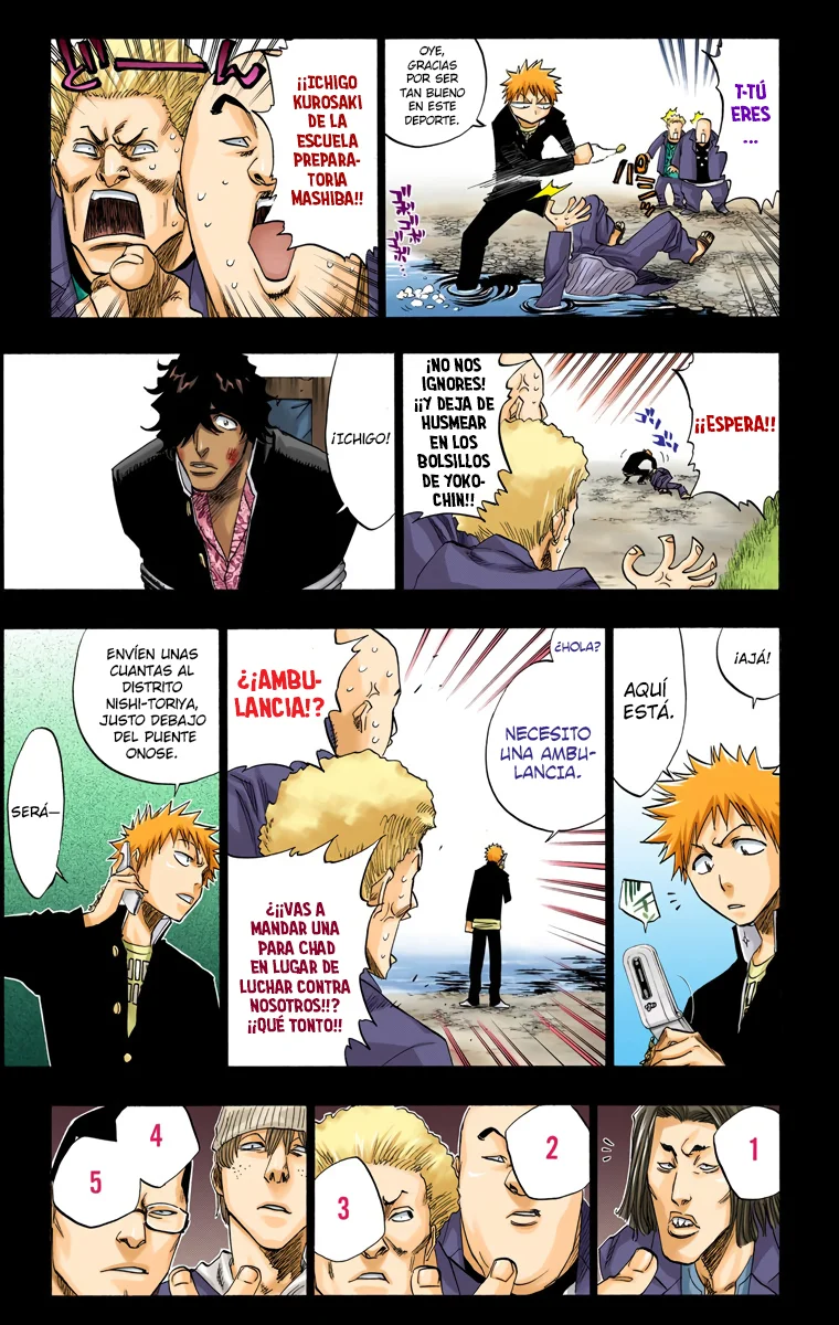 Bleach (Color) capítulo 107, página 14