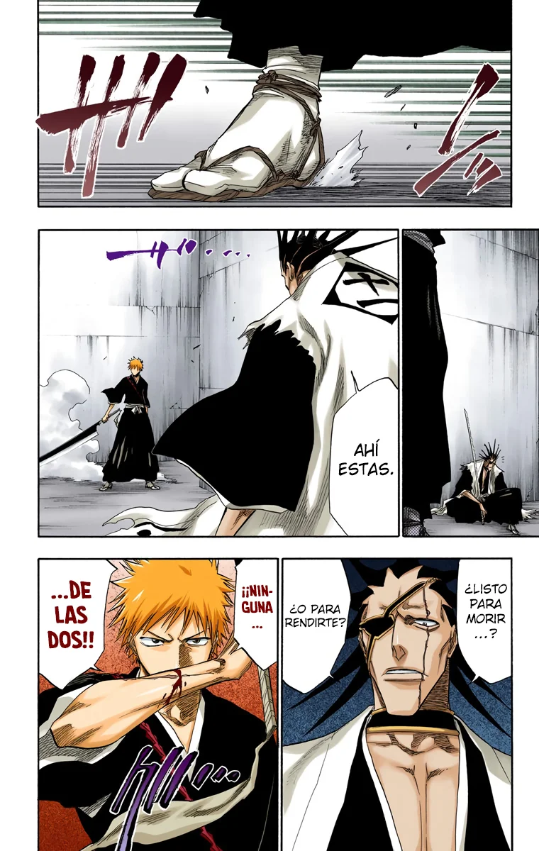 Bleach (Color) capítulo 108, página 25