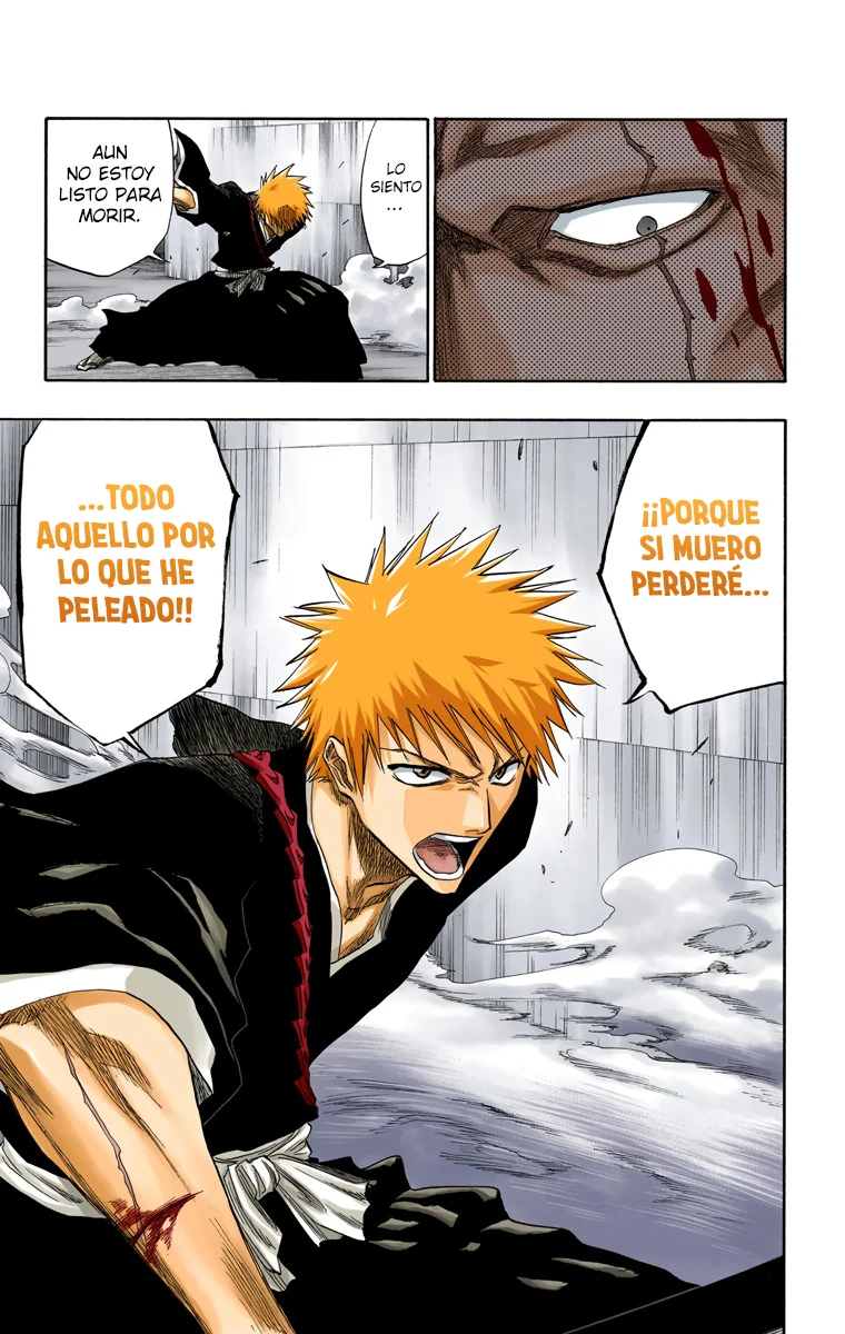 Bleach (Color) capítulo 108, página 28